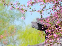 -莫愁湖公园