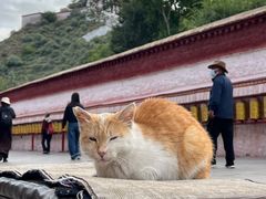 -聚友朋褡裢火烧(天北路店)