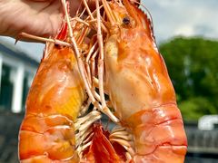 -小陆莲花蟹园农家乐(莲花岛店)