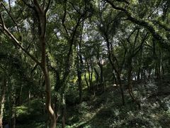 -台州府城(江南长城)