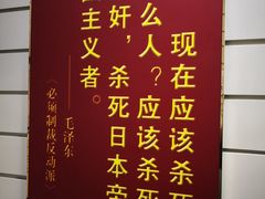 -白洋淀景区
