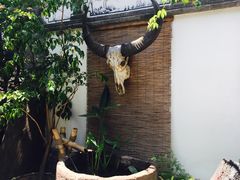 -慢丽江·云南野生菌土鸡锅(西山店)