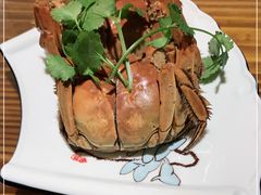 -呼吸森林·生态农庄农家乐私房菜