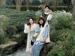 -中国茶叶博物馆(双峰馆区)