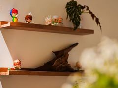 -echoes coffee回响咖啡(红山店)