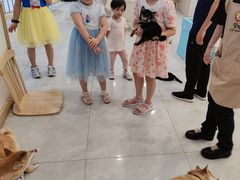 -柴犬小屋·柴餐厅·狗咖食堂(金鼎广场店)