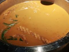 香辣锅-杨翔豆皮涮牛肚(万和城店)