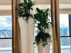 -深铁皇冠假日酒店·大堂吧