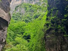 -蝶舞清江·恩施云顶景区(黄鹤峰林)