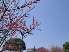-无锡梅园公园