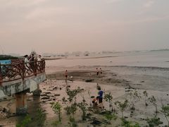 -霞山观海长廊