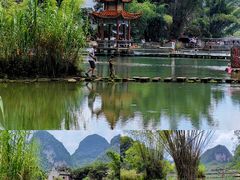 -靖西鹅泉风景区