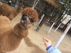 -杭州千岛湖开元度假村