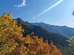 -五女峰国家森林公园