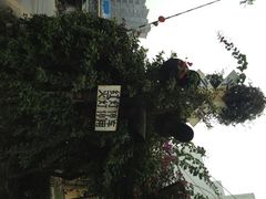景点-铁路文化公园