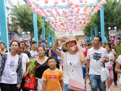 -泰安方特欢乐世界