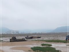 -北岐滩涂