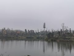 -枫香湖儿童公园