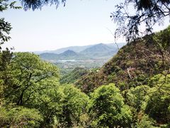 -北京鹫峰国家森林公园