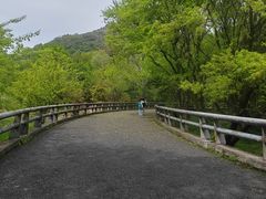 -西湖风景区-江洋畈生态公园