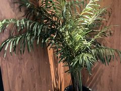 -新紫霞养生·影院足道·SPA(金山区店)
