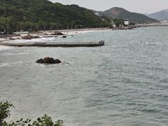 -杨梅坑