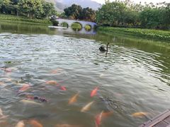 -森波拉奇妙世界