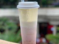 多肉粉荔-喜茶(上海兴业太古汇店)