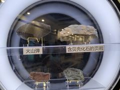 -上海儿童博物馆