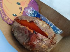 -枫花园汽车电影院(朝阳公园店)