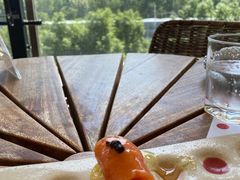 -TOMATITO(无限极荟店)