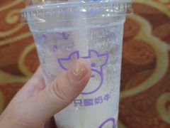 -一只酸奶牛(八一路店)