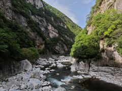 -黑河国家森林公园