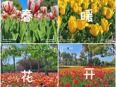 -大宁公园