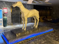 -畅想国度健康水会(民治店)