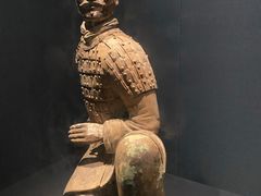 -陕西历史博物馆