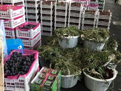 -西郊国际农产品交易中心