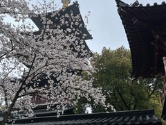 -寒山寺