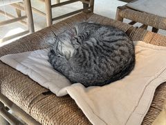 -MOJ coffee(瓯海泽雅水碓坑店)