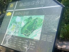 -白水寺森林公园