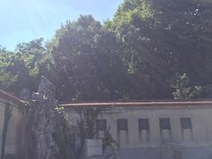 -菊花台公园