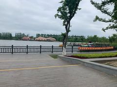 -上海长兴岛郊野公园