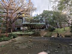 -香港大学