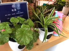 -弗劳尔花艺坊(龙涛店)
