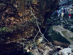 -五女峰国家森林公园