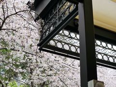 -玛格萝妮比萨屋(四平店)