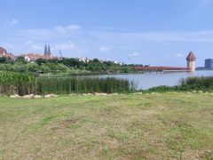 -九龙湖公园
