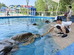 -北戴河圣蓝海洋公园