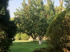 -春晖园度假酒店温泉