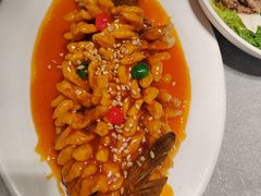 松鼠鱼-正阳春鸭子楼(解放南路店)